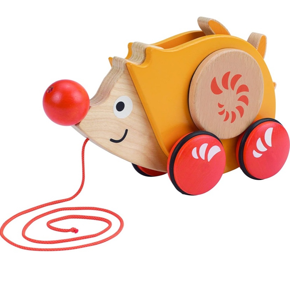 Hape Walk-A-Long Hedgehog Toddler Wooden Pull Along Balance Toy